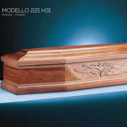 Cofano funebre 221 H31
