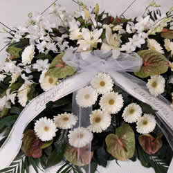Cuscino-4