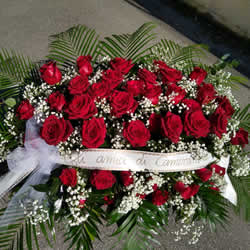 Cuscino-8